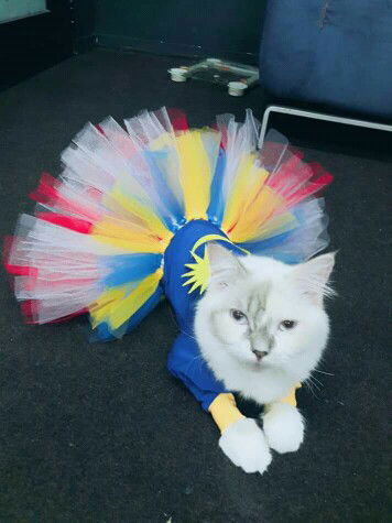 Mummy ADZ A-GH profile icon