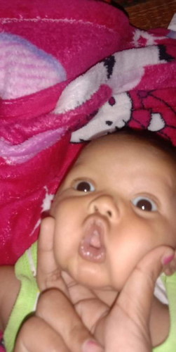 2เดือน12วัน