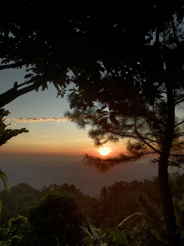 mommyrara profile icon