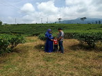Listiana Febriyanto profile icon