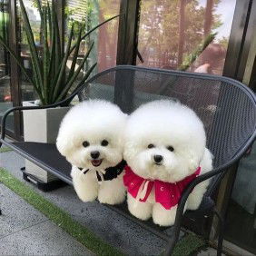 Valencia profile icon