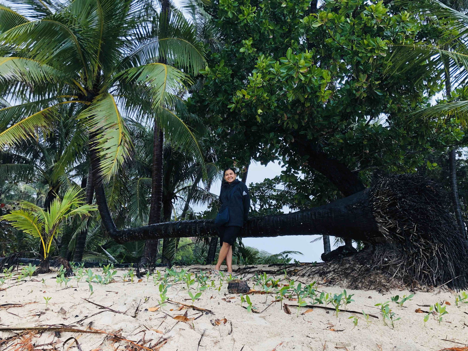 Cheryl Lucero profile icon