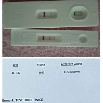 positive test but nothing seen on my ultrasound.