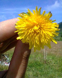 Nn Najma profile icon