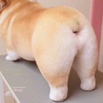 jorjarn profile icon