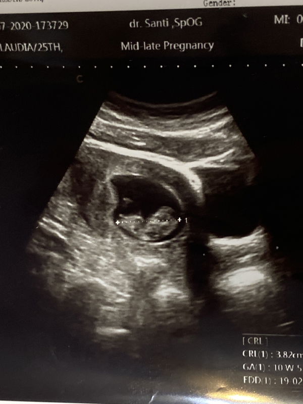 Claudia Lucha profile icon