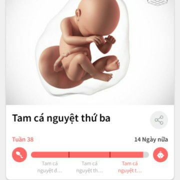 Con so hồi hợp quá mấy chị ơi....