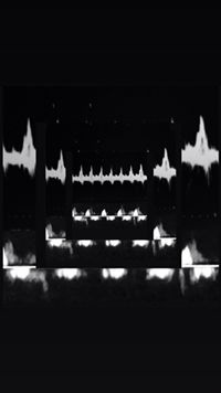 Kio Lei profile icon