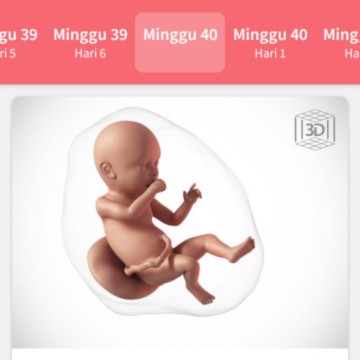 hpl hari ini 24 juni 2020