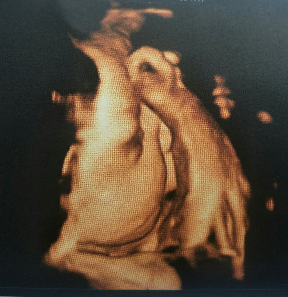 ออสการ์ profile icon