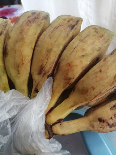 Saging Na Saba