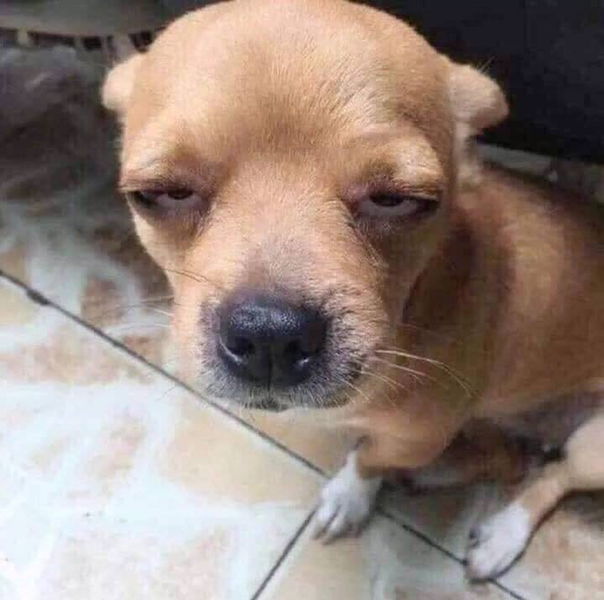 Orange X profile icon