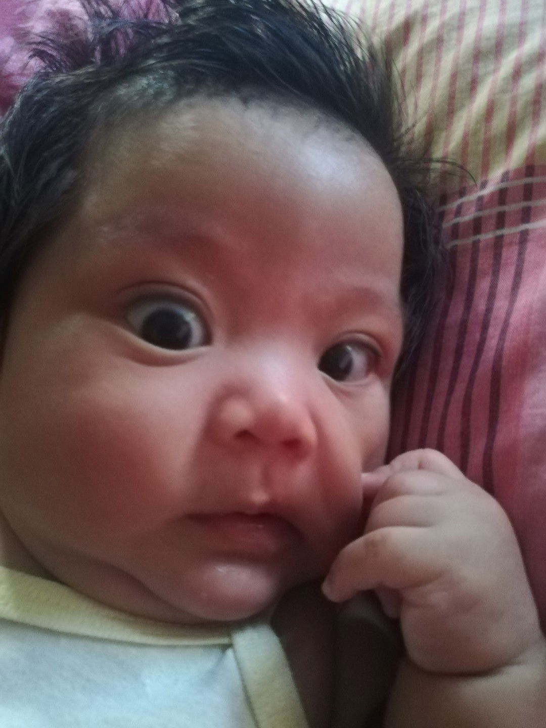 jelven a. ochia profile icon