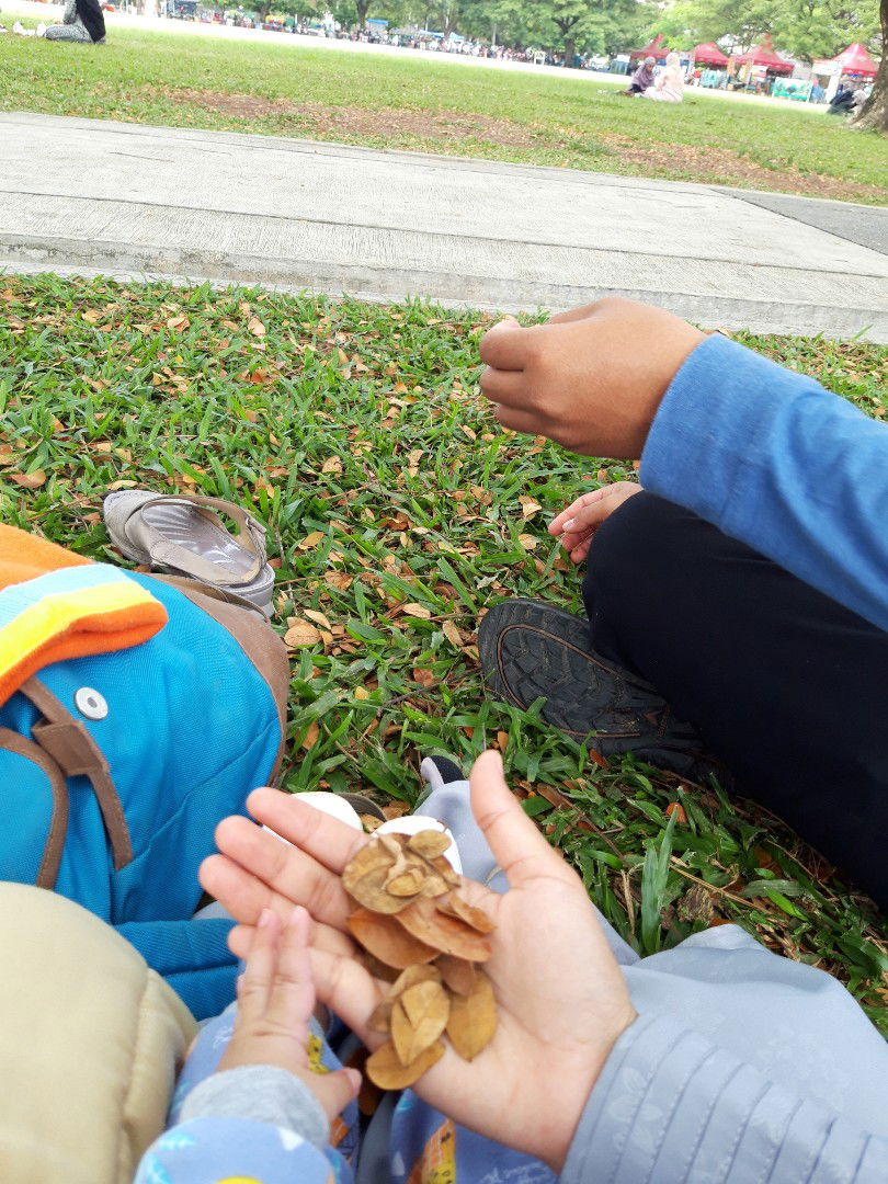 Ulfa Safira profile icon