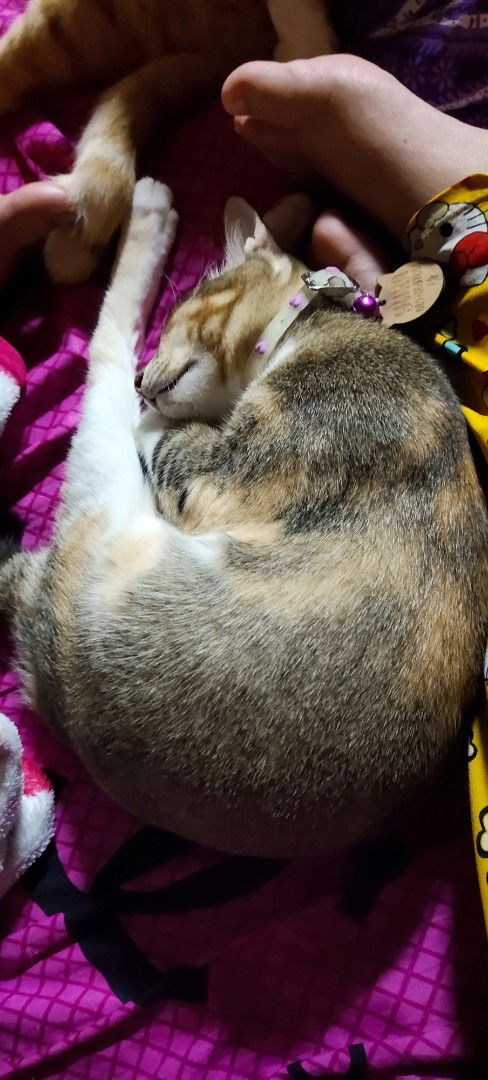 Mommy To Be profile icon