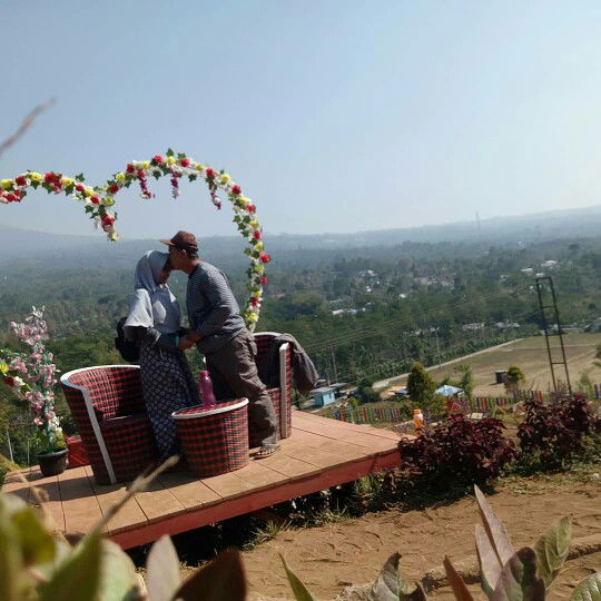 Denibrama profile icon