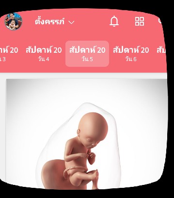 การนับอายุครรภ์