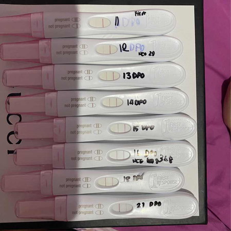 มีใครตรวจตั้งครรภ์แบบทุกวันก่อนรู้ตัวว่าตั้งครรภ์เพื่อเช็คระดับการขึ้นของ HCGจนถึงขาดประจำเดือนมั่งคะ