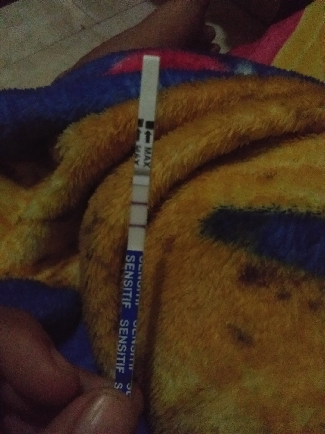 sediihhh