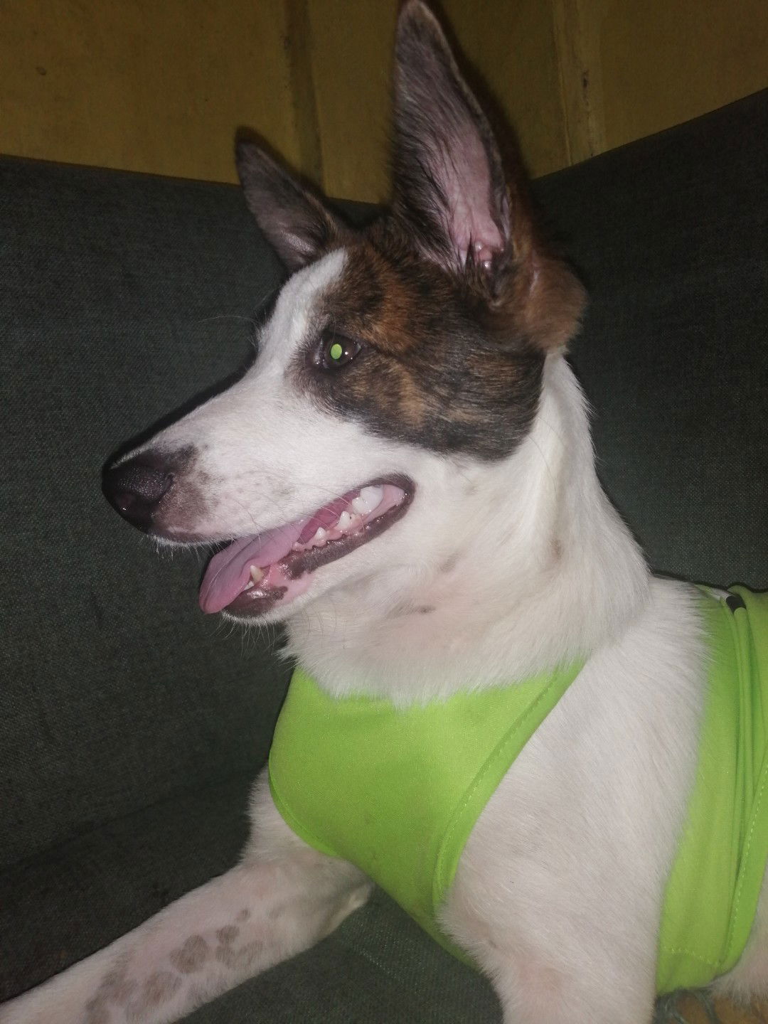 Reygine Anne Sison profile icon