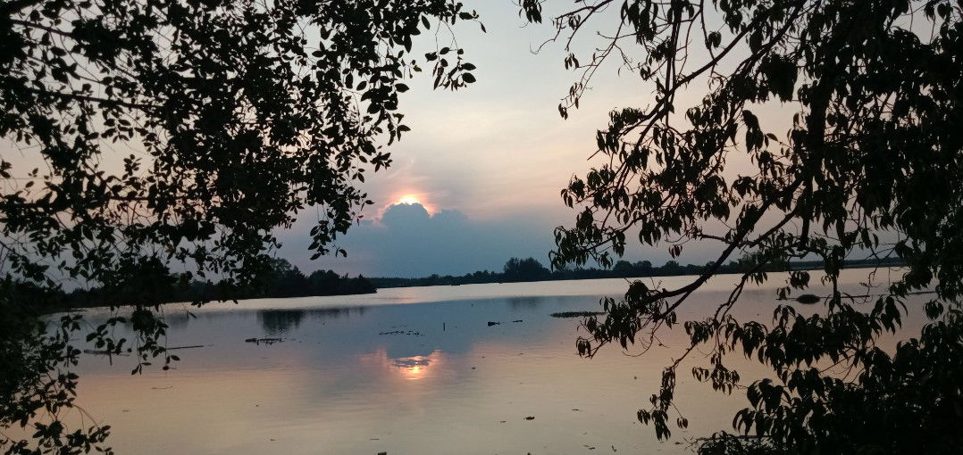 Irvina Putri profile icon