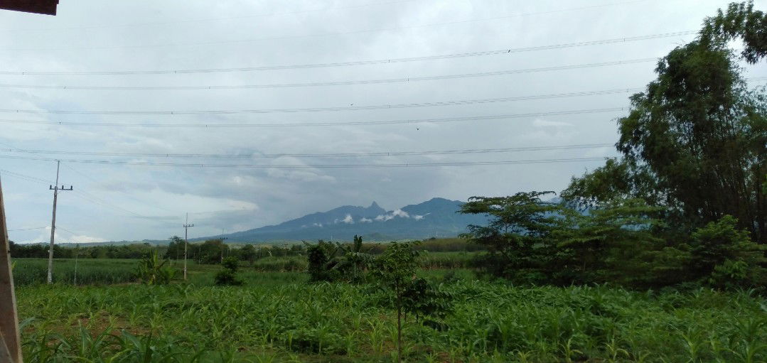 yulianna dewi profile icon