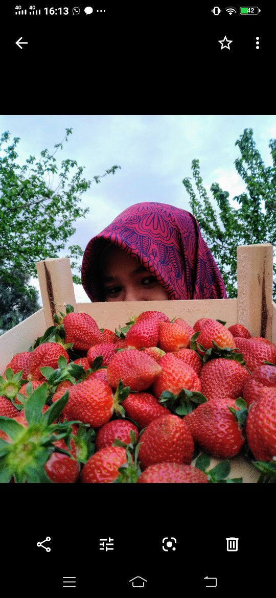 Hikmah Tuncbilek profile icon