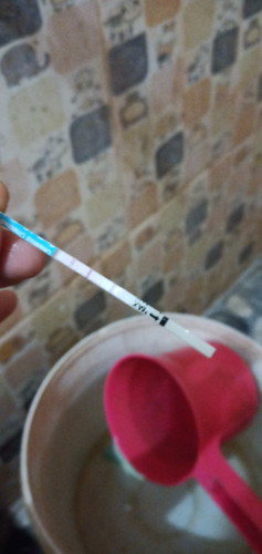 perkembangan janin sebulan lebih