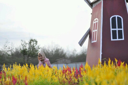 Vivi Andriyani profile icon