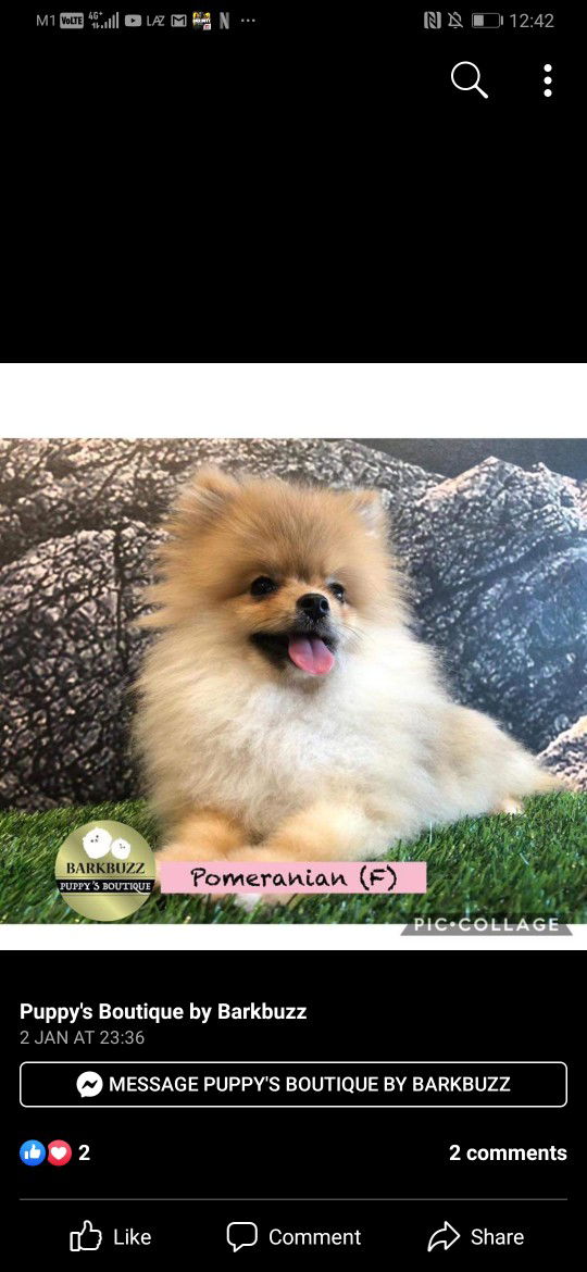 Vannieee profile icon