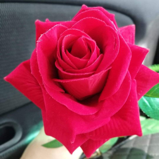 cik puan hamidi profile icon