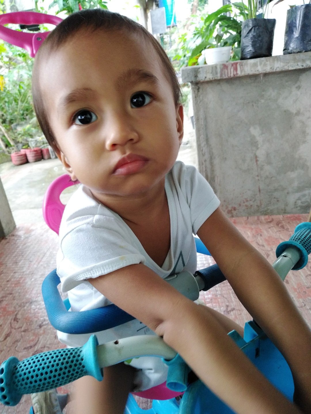 calambroregina@gmail.com profile icon