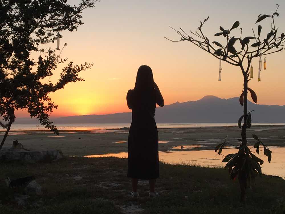 Jemi Quimpo profile icon