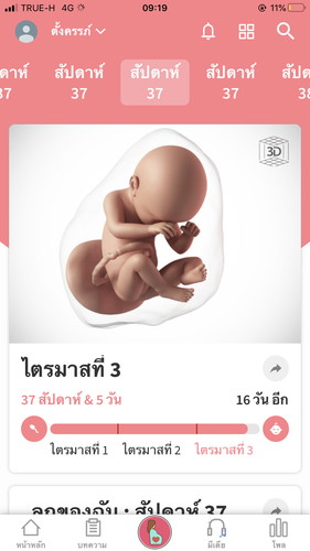 ปวด