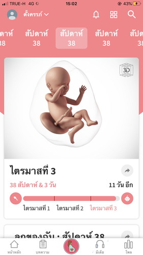 ตั้งครรภ์