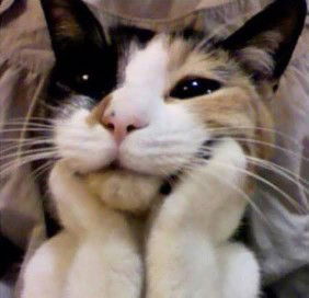 somrudee profile icon