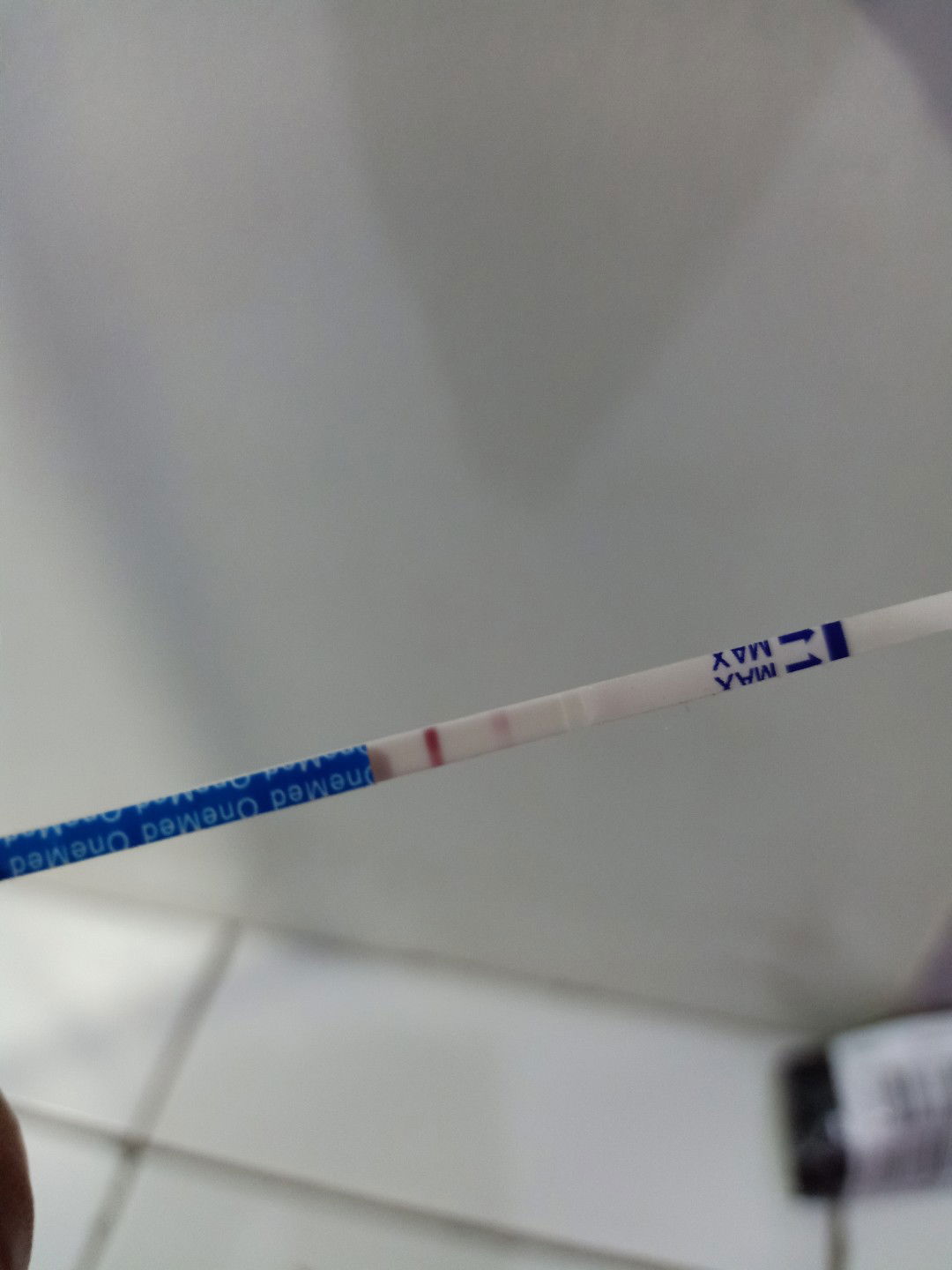 Sylvia Meiliani profile icon