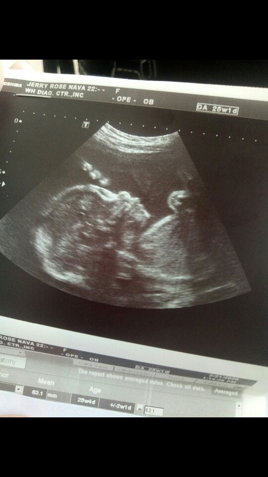 Jerry Rose Nava profile icon