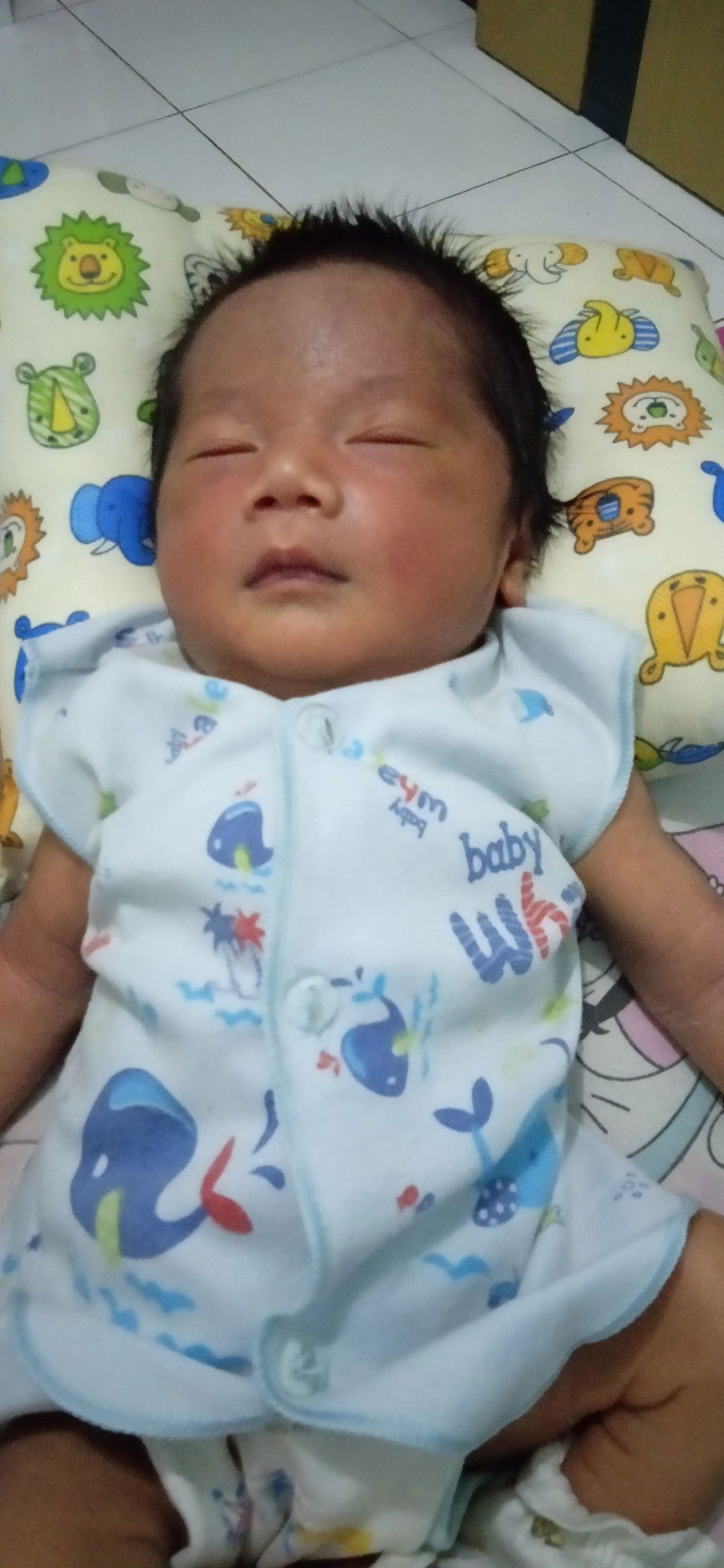 HPL 28 mei tgl 4 mei launching