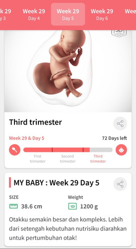 week 29 & day 5