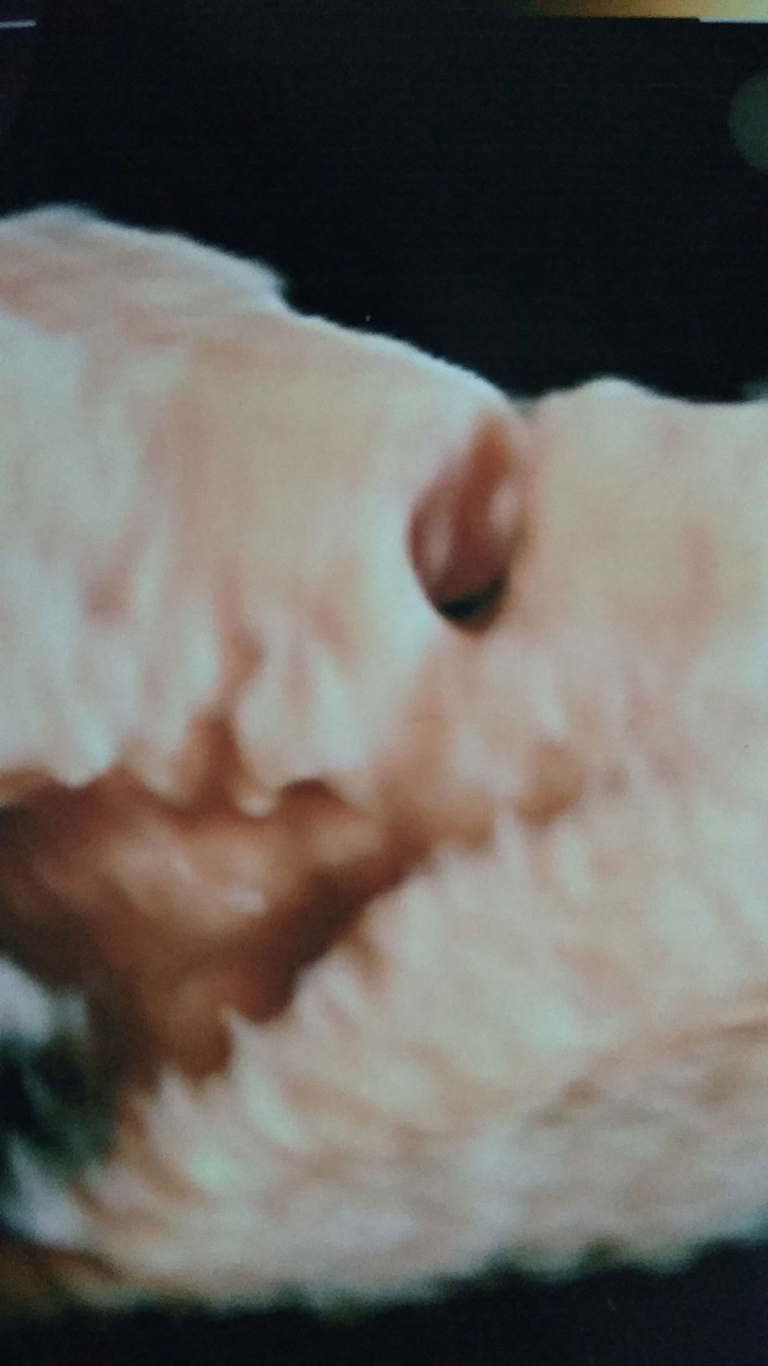 Oppi Fadhilah profile icon