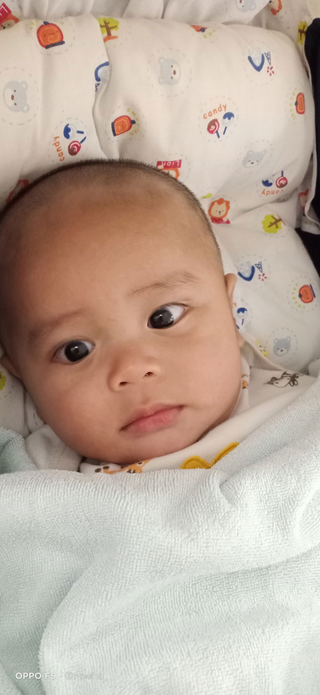 กระต่าย น่ารัก profile icon