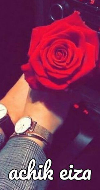 Noraliza Osman profile icon