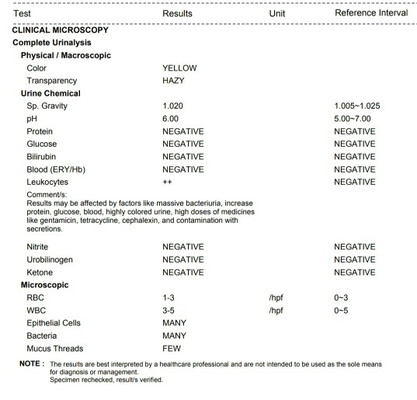 Urinalysis - UTI?