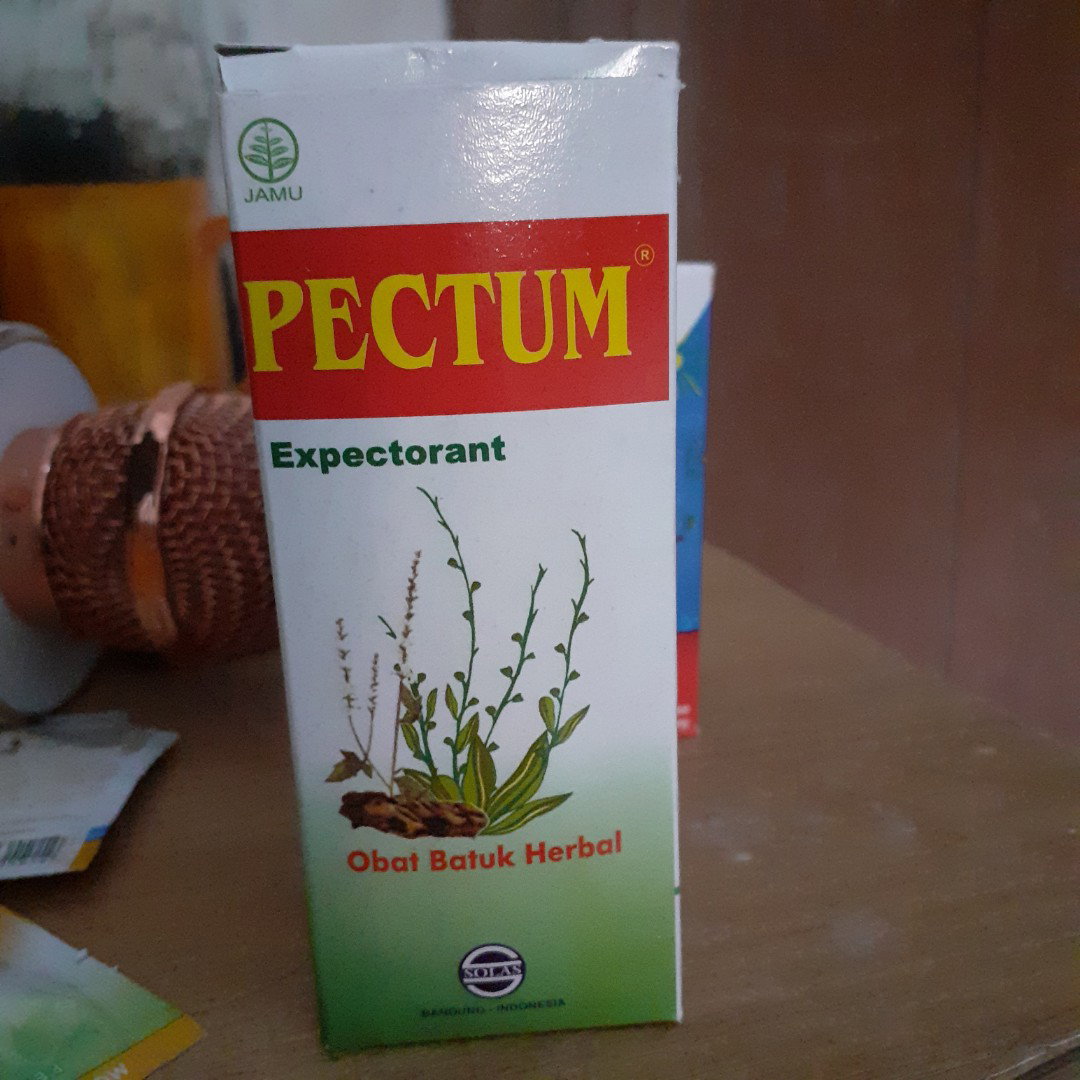 bumil minum obat