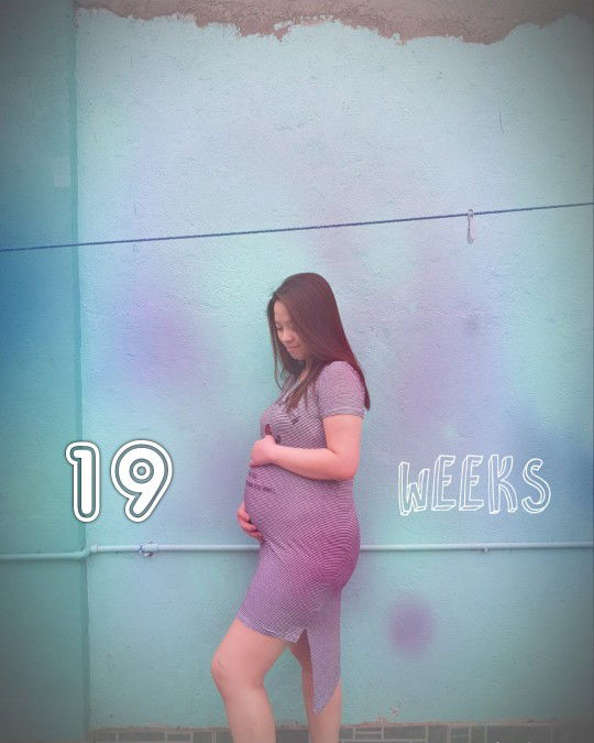 19 weeks belly