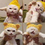 catlover profile icon