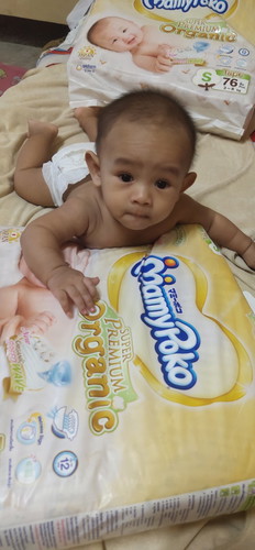 มามี่โพโค