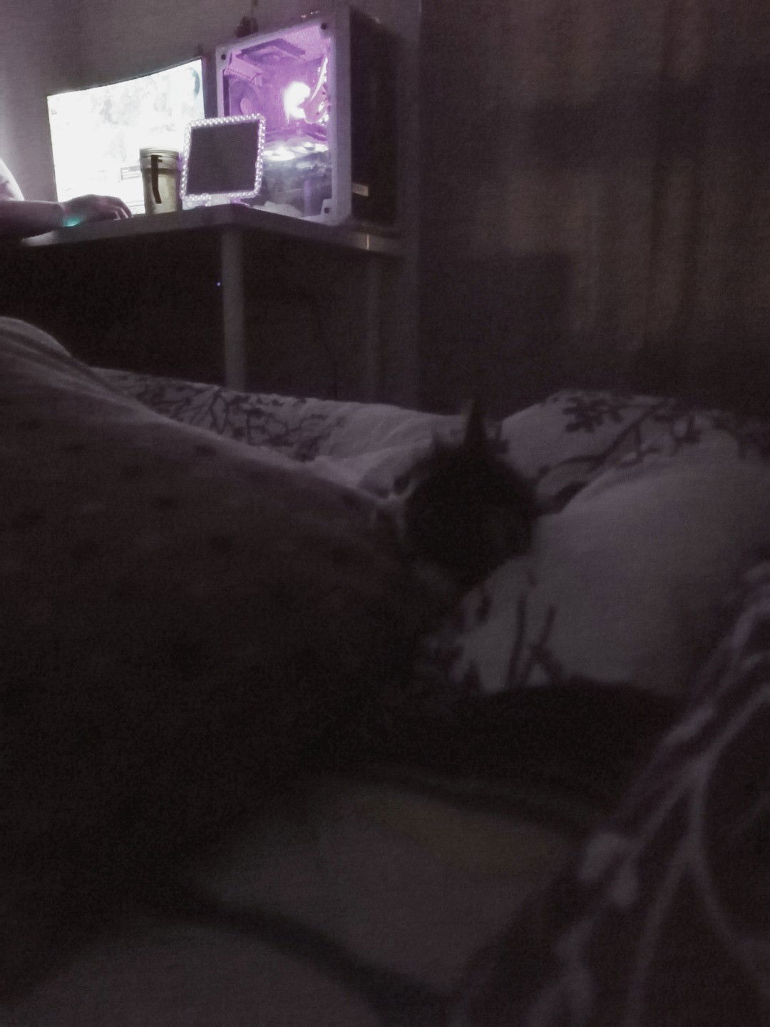 Farah Diyana Fuad profile icon