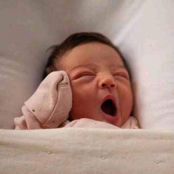 EL-Choiyr profile icon